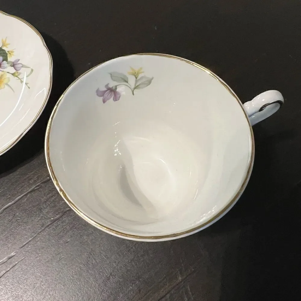Allyn Nelson Collection Sheltonian Crocus Flowers  teacup and saucer set